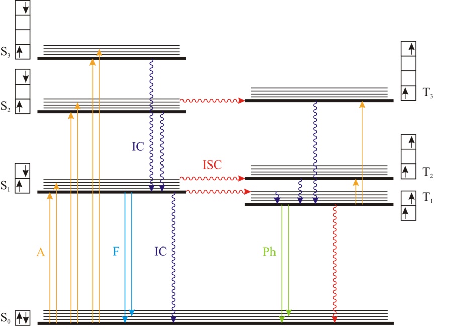 jablonski diagram